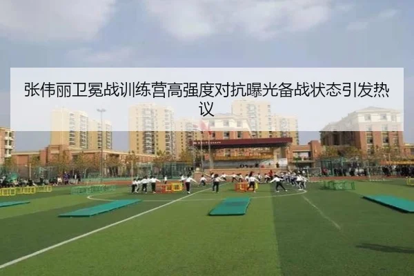 张伟丽卫冕战训练营高强度对抗曝光备战状态引发热议
