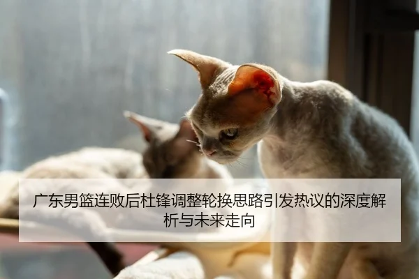 广东男篮连败后杜锋调整轮换思路引发热议的深度解析与未来走向